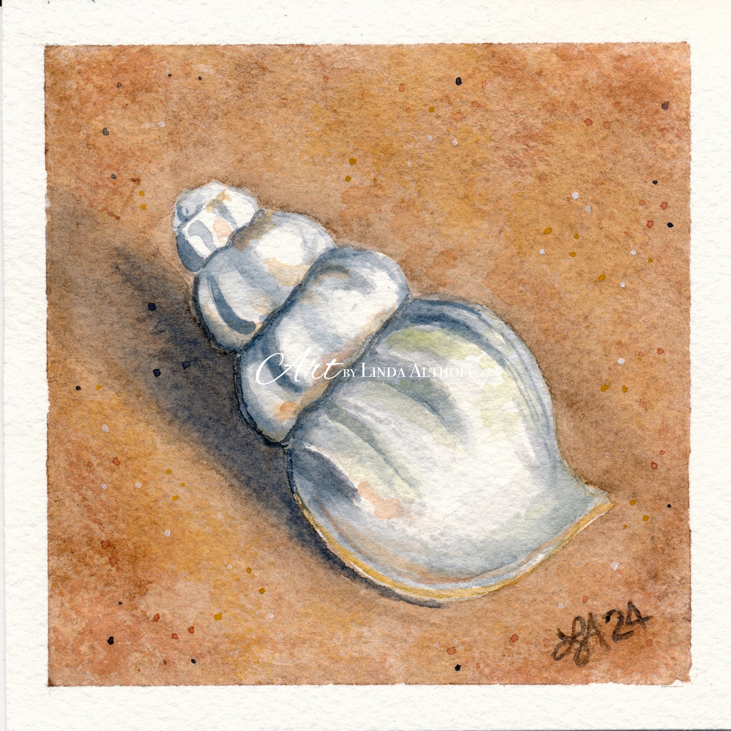 Seashell 4x4 Original Watercolor Painting