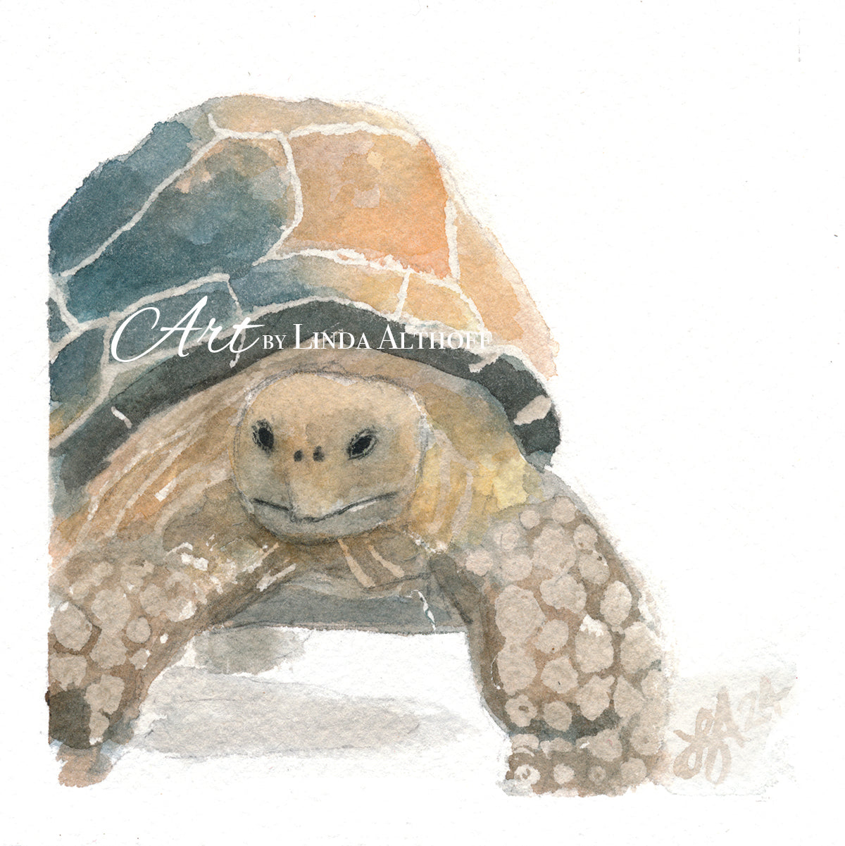 Tortoise 4x4 Original Watercolor Painting