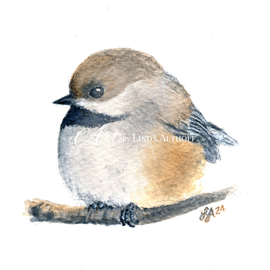 Chickadee