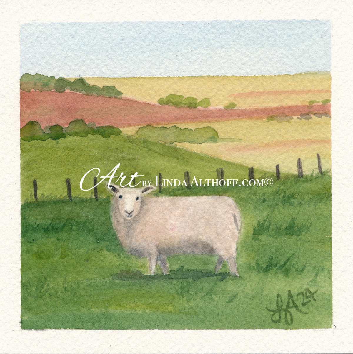 Sheep – Art by Linda Althoff