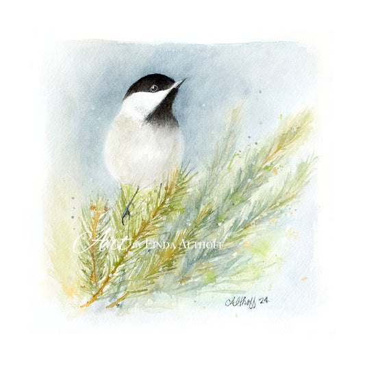 Chickadee in the Pines