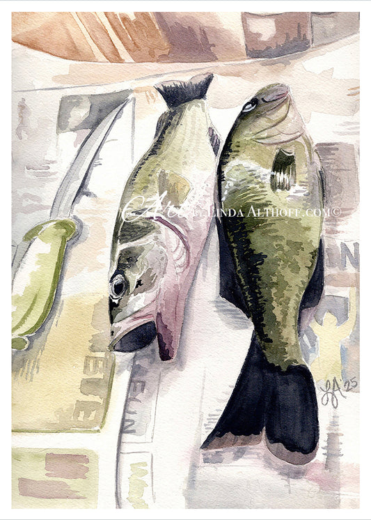 The Daily Catch - Print