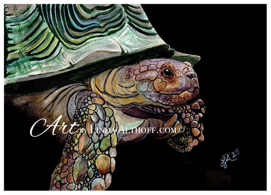Timeless Voyage - Print